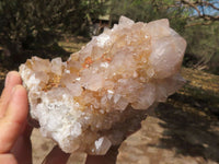 Natural Spirit Quartz Clusters  x 3 From Boekenhouthoek, South Africa - TopRock