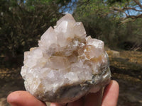 Natural Spirit Quartz Clusters  x 3 From Boekenhouthoek, South Africa - TopRock