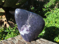 Polished Gem Lithium Mica Lepidolite Display Free Forms x 2 From Zimbabwe - TopRock