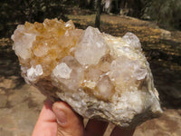 Natural Spirit Quartz Clusters  x 3 From Boekenhouthoek, South Africa - TopRock