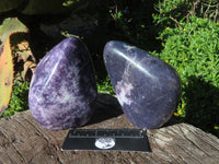 Polished Gem Lithium Mica Lepidolite Display Free Forms x 2 From Zimbabwe - TopRock