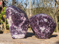 Polished  Purple Lepidolite Standing Free Forms  x 3 From Zimbabwe