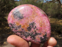 Polished Pink & Black Rhodonite Free Forms  x 6 From Zimbabwe - TopRock