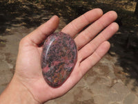 Polished Pink & Black Rhodonite Free Forms  x 6 From Zimbabwe - TopRock