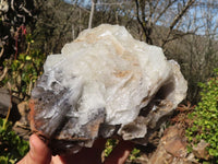 Natural Rare Large Bladed Barite Specimen  x 1 From Congo