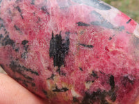 Polished Pink & Black Rhodonite Free Forms  x 6 From Zimbabwe - TopRock