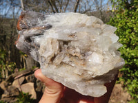 Natural Rare Large Bladed Barite Specimen  x 1 From Congo