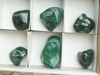 Polished Malachite Free Forms With Stunning Flower & Banding Patterns x 6 From Congo - TopRock