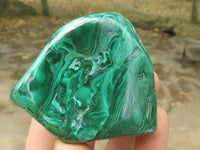 Polished Malachite Free Forms With Stunning Flower & Banding Patterns x 6 From Congo - TopRock