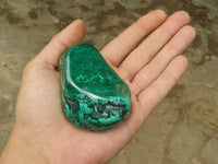 Polished Malachite Free Forms With Stunning Flower & Banding Patterns x 6 From Congo - TopRock