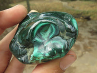 Polished Malachite Free Forms With Stunning Flower & Banding Patterns x 6 From Congo - TopRock