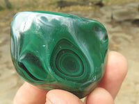 Polished Malachite Free Forms With Stunning Flower & Banding Patterns x 6 From Congo - TopRock