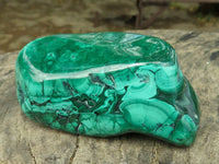 Polished Malachite Free Forms With Stunning Flower & Banding Patterns x 6 From Congo - TopRock