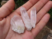 Natural Single Clear Quartz Crystals  x 70 From Mpika, Zambia - Toprock Gemstones and Minerals 