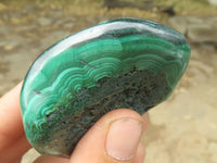 Polished Malachite Free Forms With Stunning Flower & Banding Patterns x 6 From Congo - TopRock