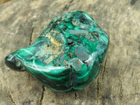 Polished Malachite Free Forms With Stunning Flower & Banding Patterns x 6 From Congo - TopRock