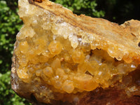 Natural Golden Limonite / Lemonite Quartz Clusters  x 3 From Zambia - Toprock Gemstones and Minerals 