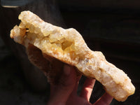 Natural Golden Limonite / Lemonite Quartz Clusters  x 3 From Zambia - Toprock Gemstones and Minerals 