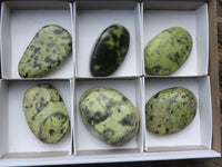 Polished Extra Large Leopard Stone Gallets / Palm Stones  x 6 From Zimbabwe - TopRock