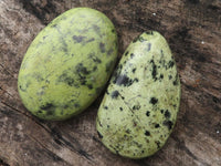 Polished Extra Large Leopard Stone Gallets / Palm Stones  x 6 From Zimbabwe - TopRock