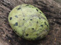 Polished Extra Large Leopard Stone Gallets / Palm Stones  x 6 From Zimbabwe - TopRock