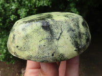 Polished Extra Large Leopard Stone Gallets / Palm Stones  x 6 From Zimbabwe - TopRock