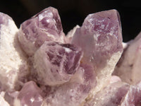 Natural Sugar Amethyst Clusters  x 3 From Zambia - Toprock Gemstones and Minerals 