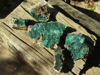 Natural Crystalline Micro Botryoidal Malachite Specimens  x 5 From Congo