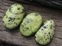 Polished Extra Large Leopard Stone Gallets / Palm Stones  x 6 From Zimbabwe - TopRock