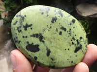 Polished Extra Large Leopard Stone Gallets / Palm Stones  x 6 From Zimbabwe - TopRock