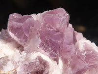 Natural Sugar Amethyst Clusters  x 3 From Zambia - Toprock Gemstones and Minerals 