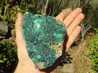 Natural Crystalline Micro Botryoidal Malachite Specimens  x 5 From Congo