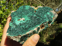 Natural Crystalline Micro Botryoidal Malachite Specimens  x 5 From Congo