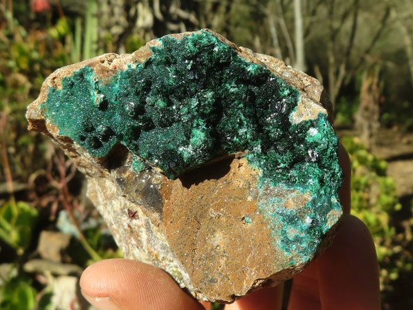 Natural Crystalline Micro Botryoidal Malachite Specimens  x 5 From Congo