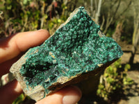 Natural Crystalline Micro Botryoidal Malachite Specimens  x 5 From Congo