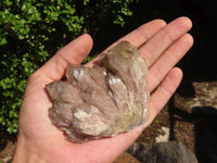 Natural Smokey White Phantom Quartz Clusters  x 6 From Luena, Congo - Toprock Gemstones and Minerals 