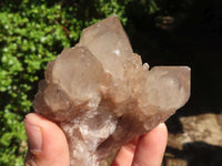 Natural Smokey White Phantom Quartz Clusters  x 6 From Luena, Congo - Toprock Gemstones and Minerals 