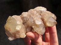 Natural Smokey White Phantom Quartz Clusters  x 6 From Luena, Congo - Toprock Gemstones and Minerals 