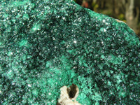 Natural Crystalline Micro Botryoidal Malachite Specimens  x 5 From Congo