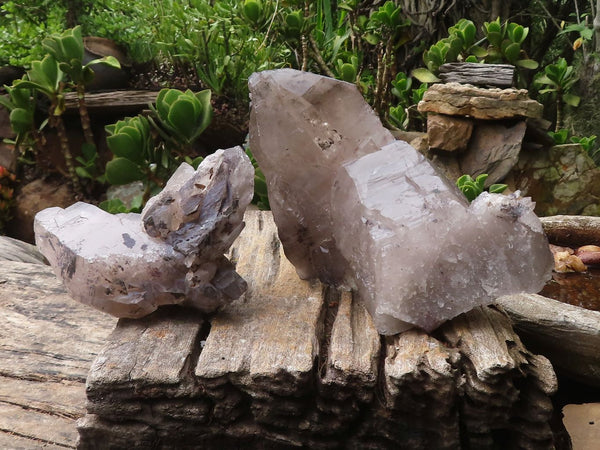 Natural Self Healed Large Smokey Quartz Crystals  x 2 From Mulanje, Malawi - Toprock Gemstones and Minerals 