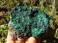 Natural Crystalline Micro Botryoidal Malachite Specimens  x 5 From Congo