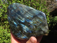 Polished Labradorite Standing Free Forms With Blue & Gold Flash  x 3 From Tulear, Madagascar - Toprock Gemstones and Minerals 