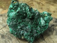 Natural Silky Malachite Specimens  x 6 From Kasompe, Congo - TopRock