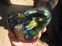 Polished Labradorite Standing Free Forms With Blue & Gold Flash  x 3 From Tulear, Madagascar - Toprock Gemstones and Minerals 