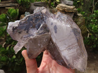 Natural Self Healed Large Smokey Quartz Crystals  x 2 From Mulanje, Malawi - Toprock Gemstones and Minerals 