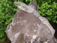 Natural Self Healed Large Smokey Quartz Crystals  x 2 From Mulanje, Malawi - Toprock Gemstones and Minerals 