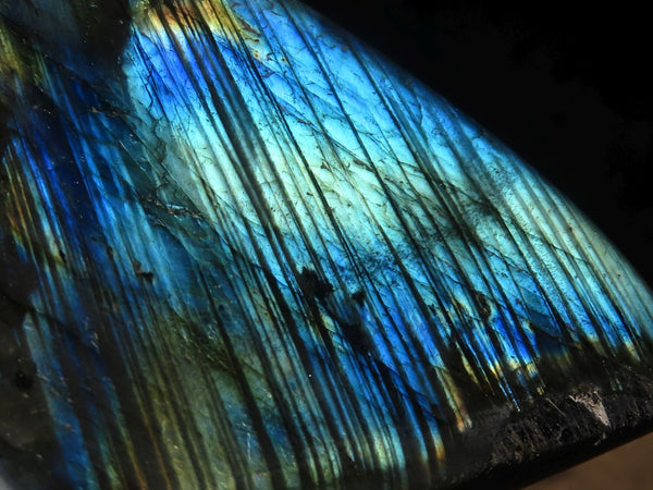 Polished Labradorite Standing Free Forms With Blue & Gold Flash  x 3 From Tulear, Madagascar - Toprock Gemstones and Minerals 