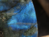 Polished Labradorite Standing Free Forms With Blue & Gold Flash  x 3 From Tulear, Madagascar - Toprock Gemstones and Minerals 