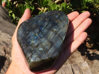 Polished Labradorite Standing Free Forms With Blue & Gold Flash  x 3 From Tulear, Madagascar - Toprock Gemstones and Minerals 