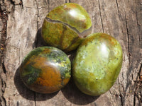 Polished Lovely Mixed Selection Of Palm Stones  x 12 From Madagascar - TopRock